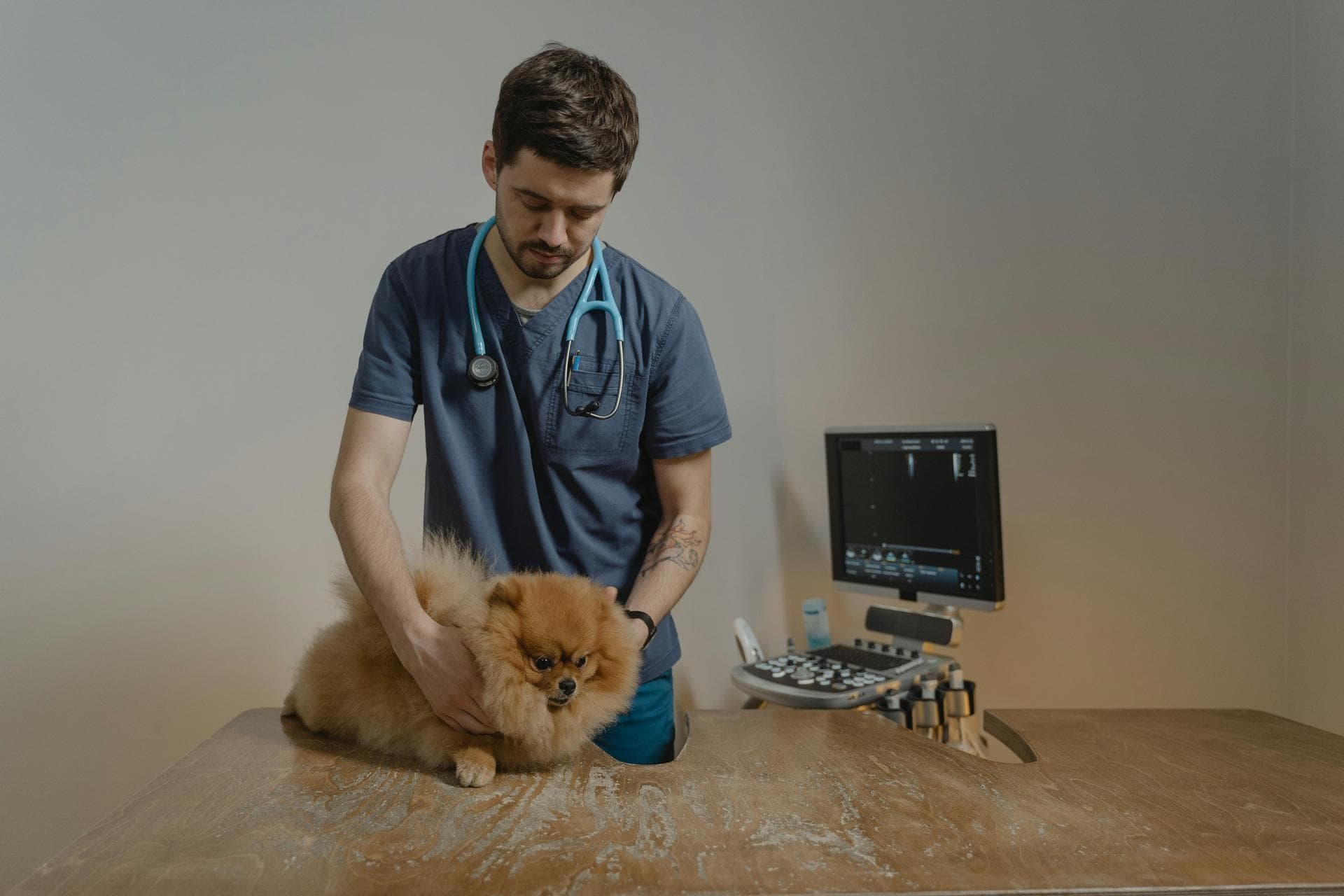 Best Vets in Mountain Home